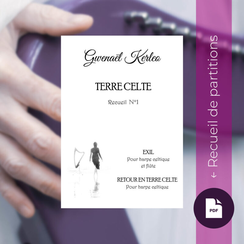 Recueil numérique « Terre Celte » n°1