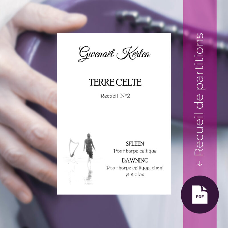 Recueil numérique « Terre Celte » n°2