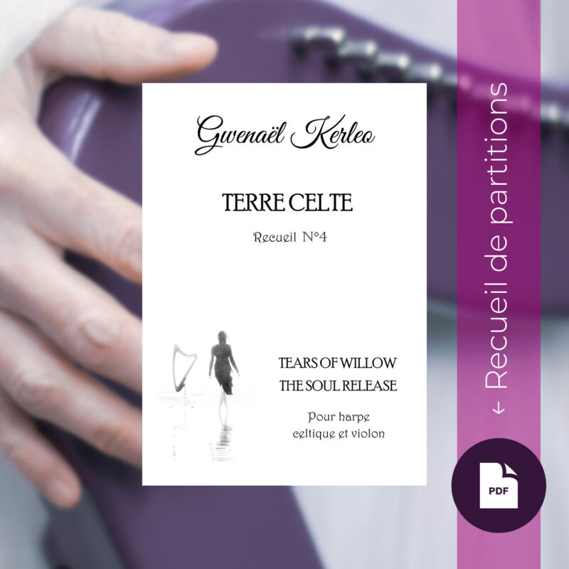 Recueil numérique « Terre Celte » n°4