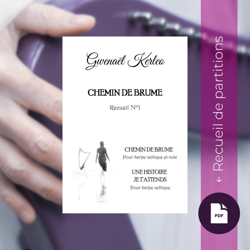 Recueil numérique « Chemin de brume » n°1