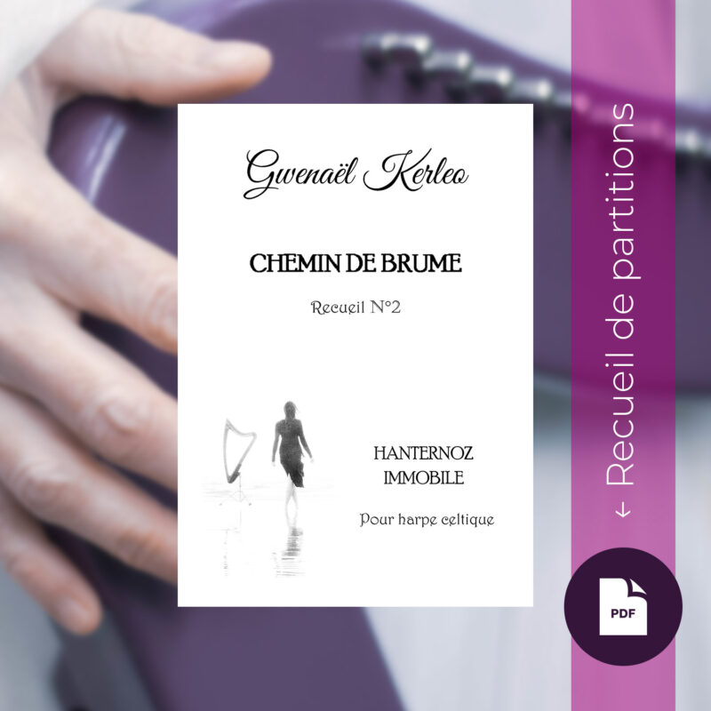 Recueil numérique « Chemin de brume » n°2