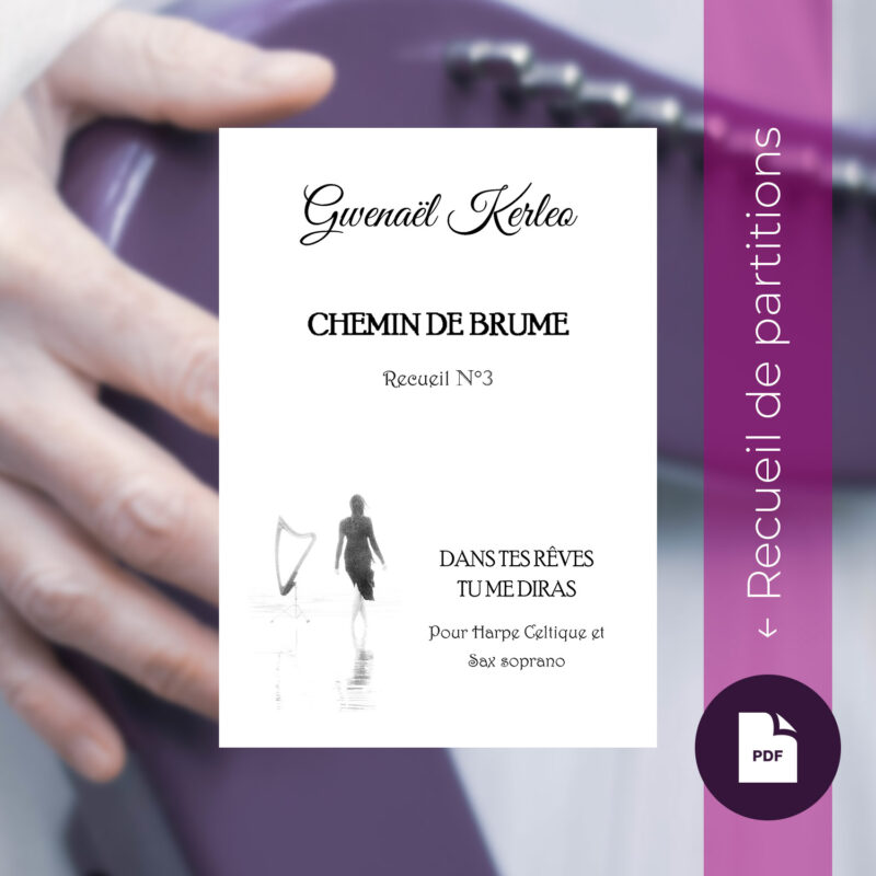Recueil numérique « Chemin de brume » n°3